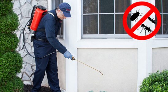 Simav Dezenfeksiyon böcek ilaçlama ve haşere kontrolü — ilaclama-tr.com